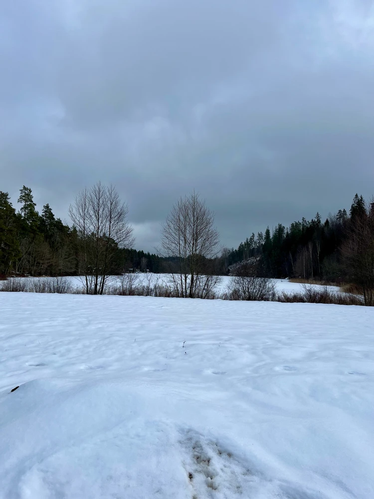 Image uploaded by Fredric