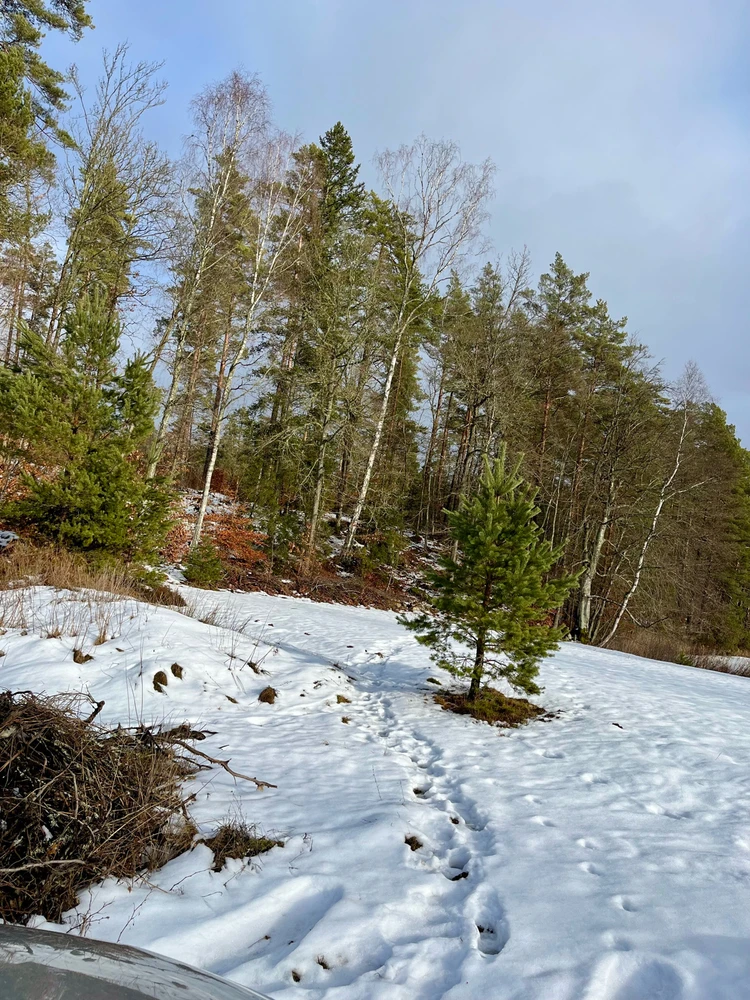 Image uploaded by Fredric