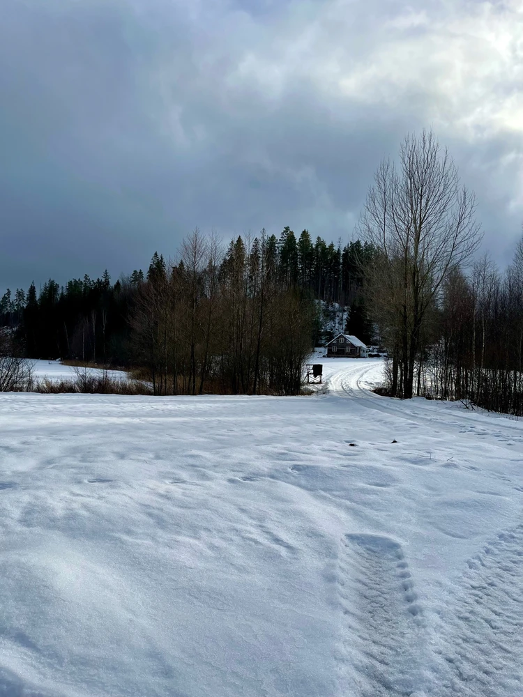 Image uploaded by Fredric