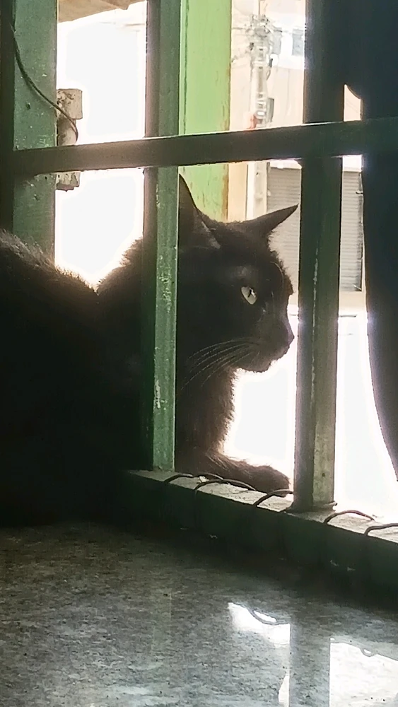 GIF uploaded by 𝕰𝖑𝖎𝖘