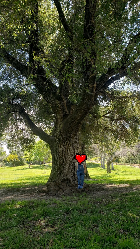 GIF uploaded by laila♡