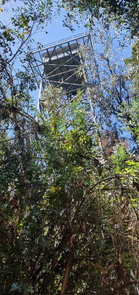 Imagen subida por Bazzty