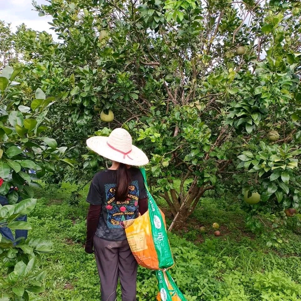 GIF อัปโหลดโดย NANI