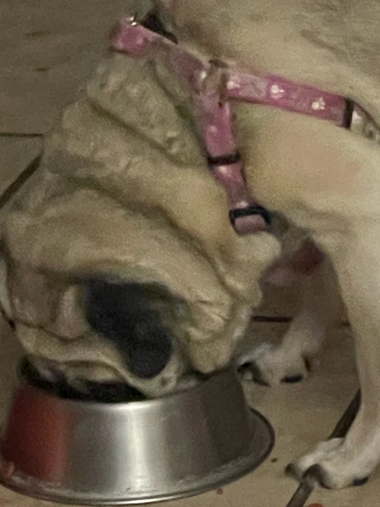 GIF uploaded by John