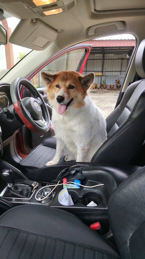 GIF uploaded by Anne