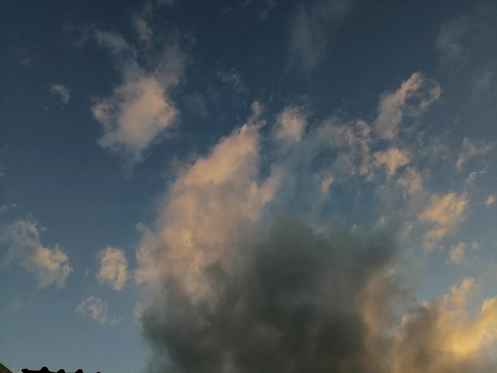 Image uploaded by Cas