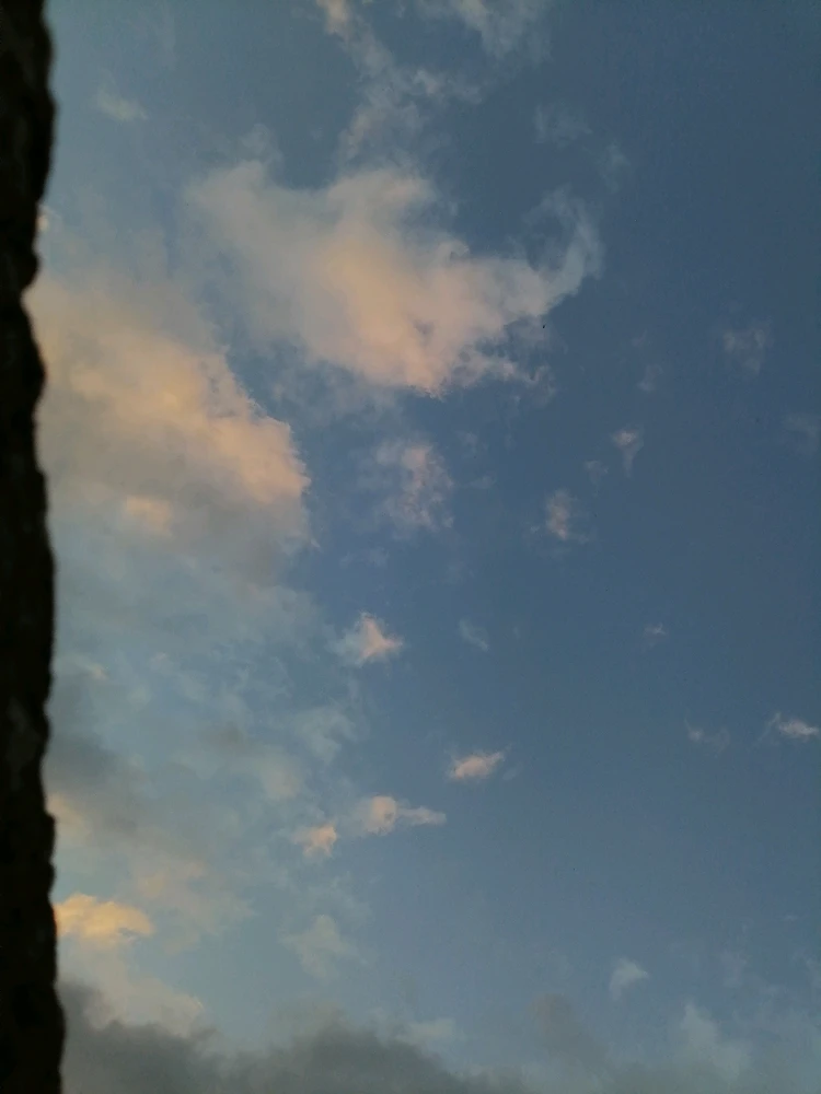 Image uploaded by Cas