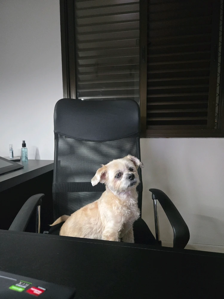 GIF uploaded by Caio