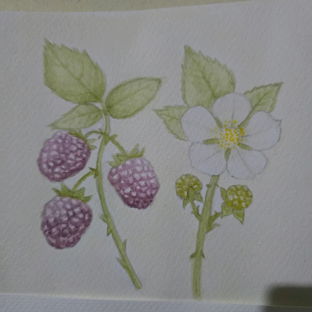 GIF subido por Mario