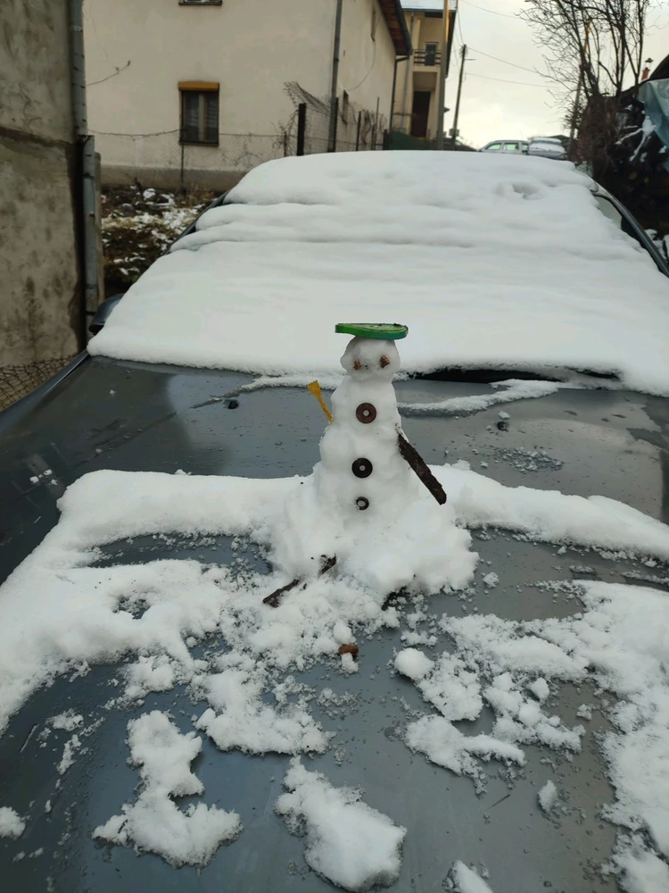 Image uploaded by Mox