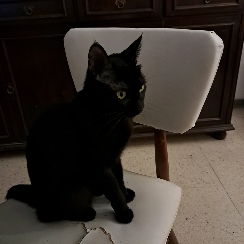 GIF subido por Maruuuu