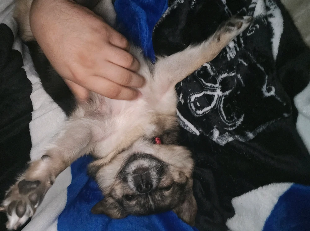 Image uploaded by Conner