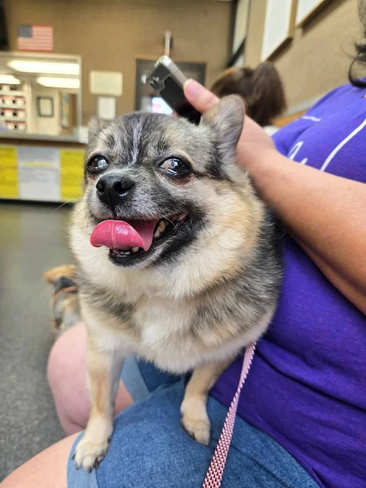 Image uploaded by Conner