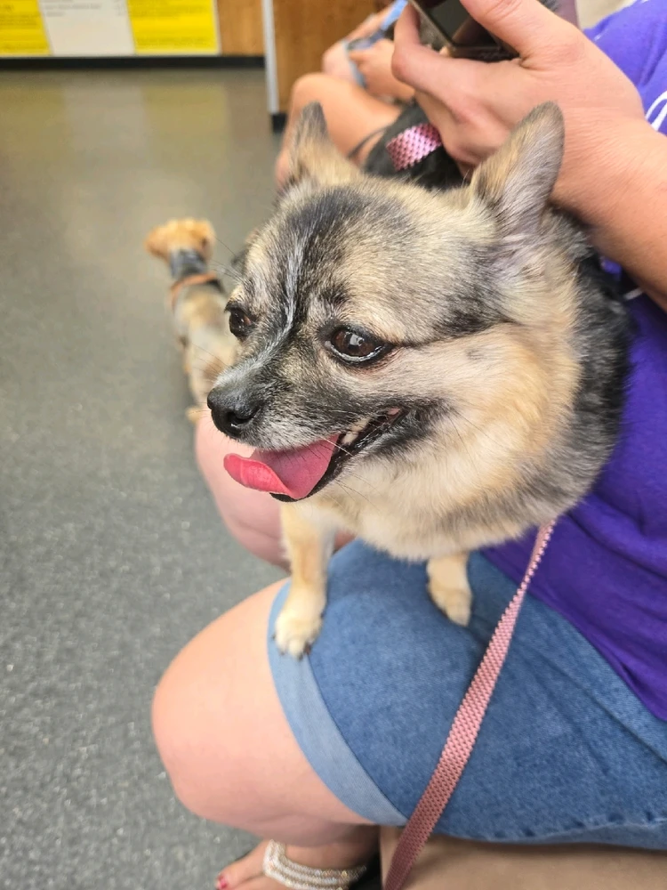 Image uploaded by Conner