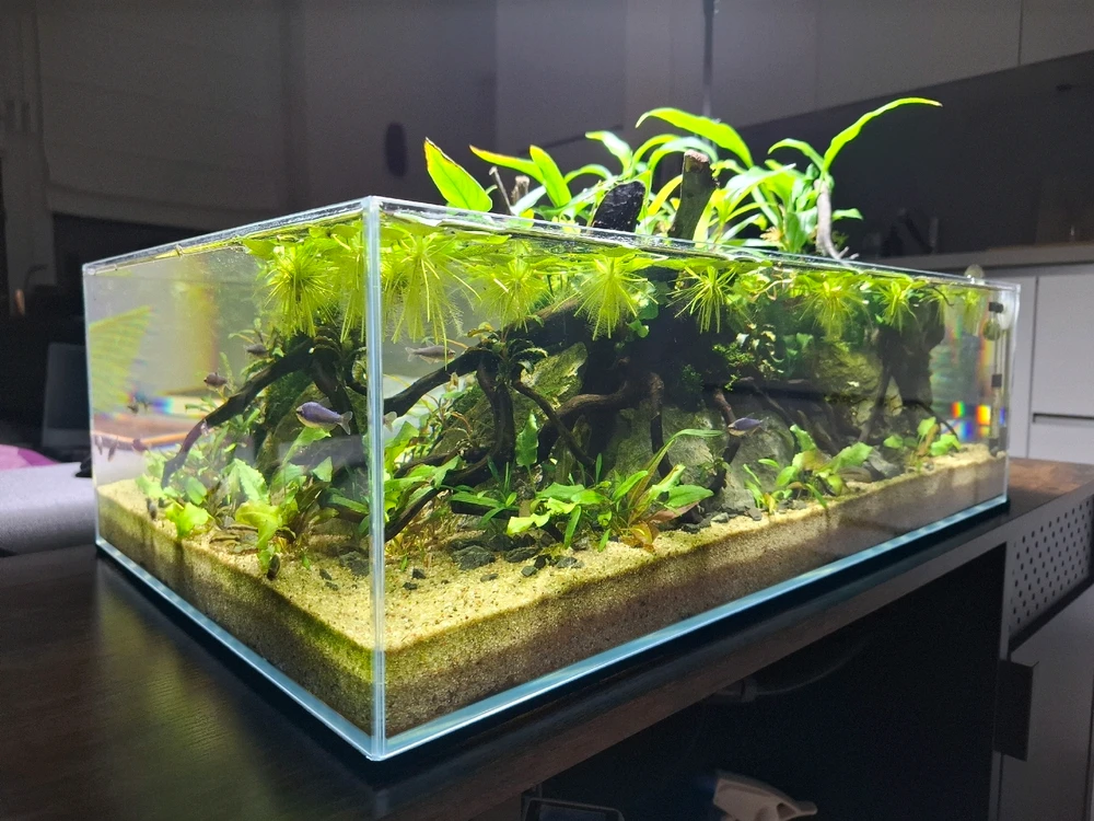 GIF uploaded by Vincent