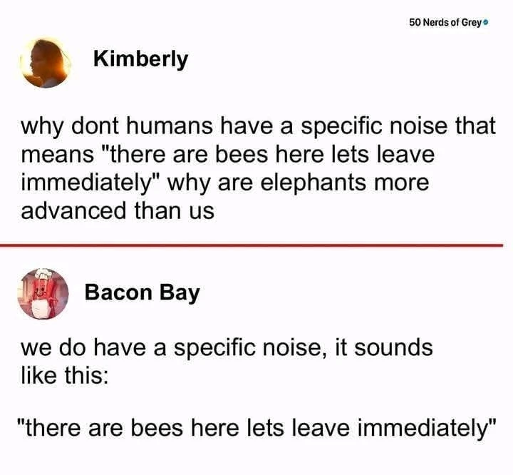 GIF uploaded by SofaKingWeird