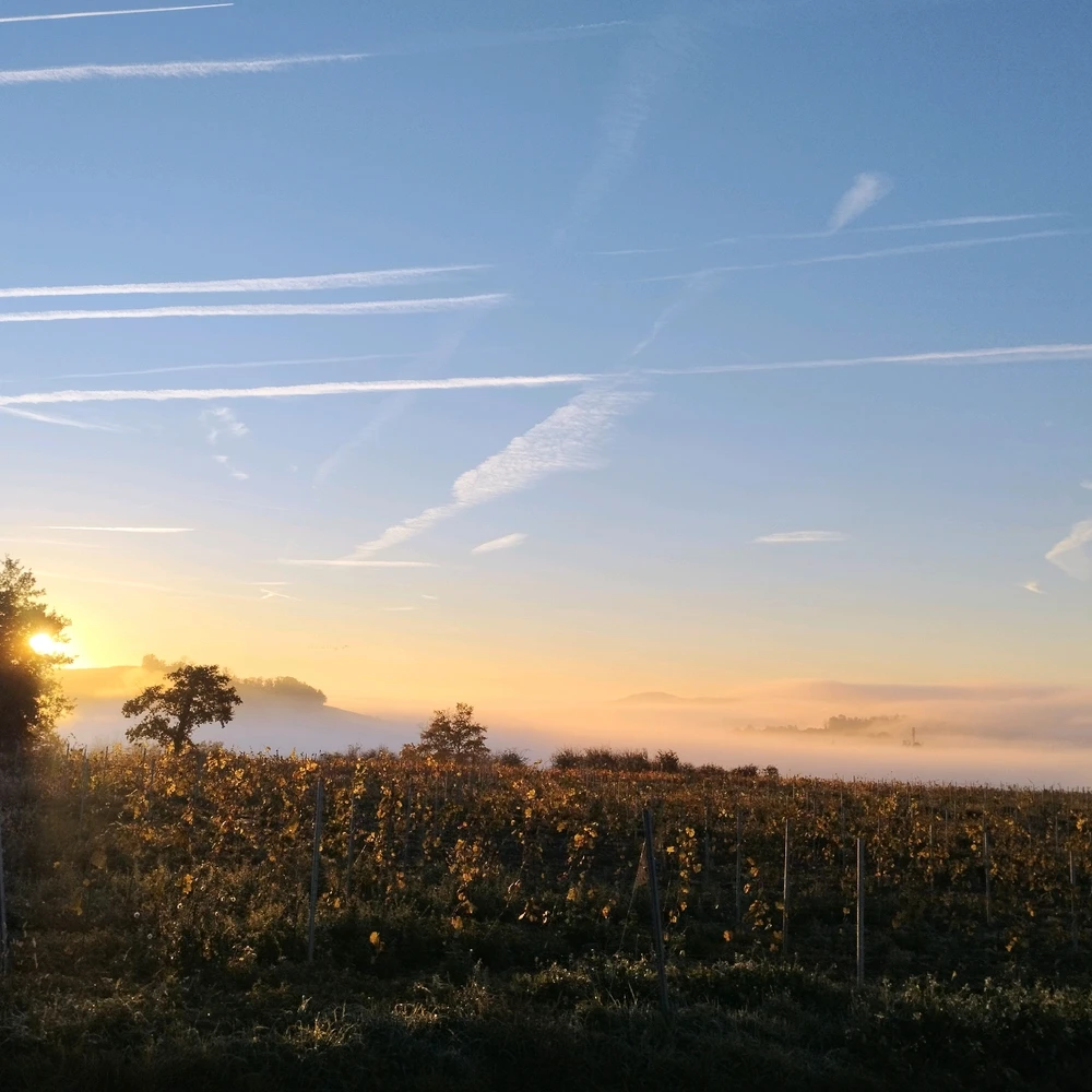 GIF ajouté par Samuel