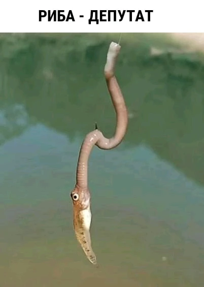 Гіфку завантажив Іван