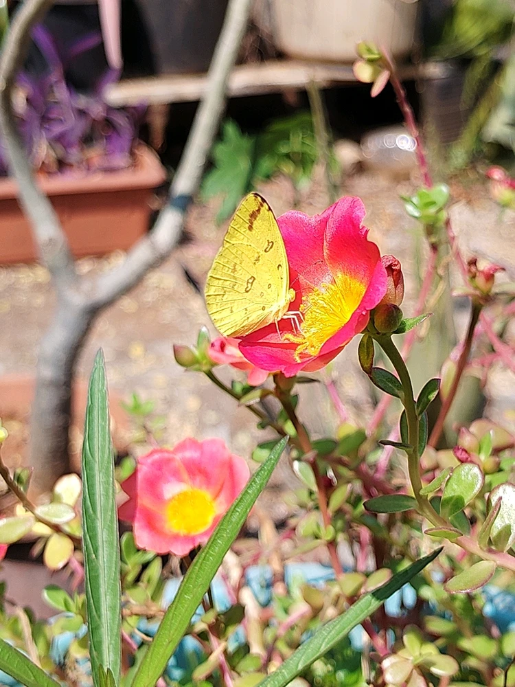 GIF uploaded by sebastian