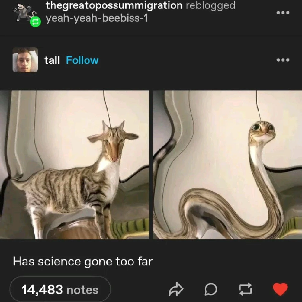 Image uploaded by Kitty