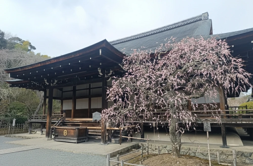 Image uploaded by Carlos カルロス