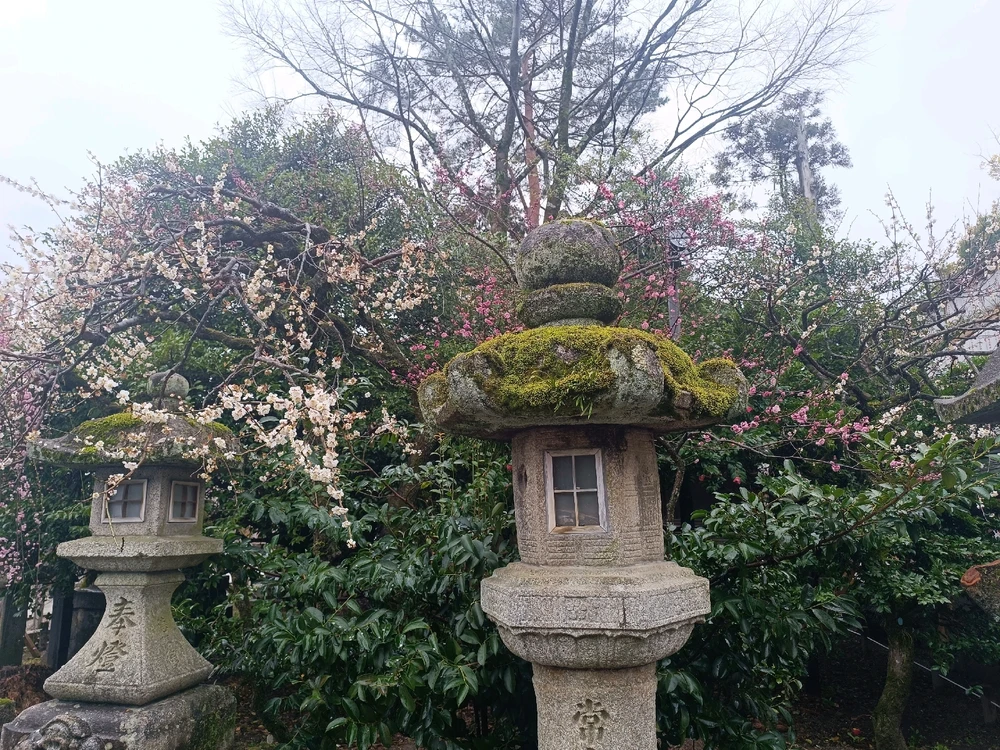 Image uploaded by Carlos カルロス