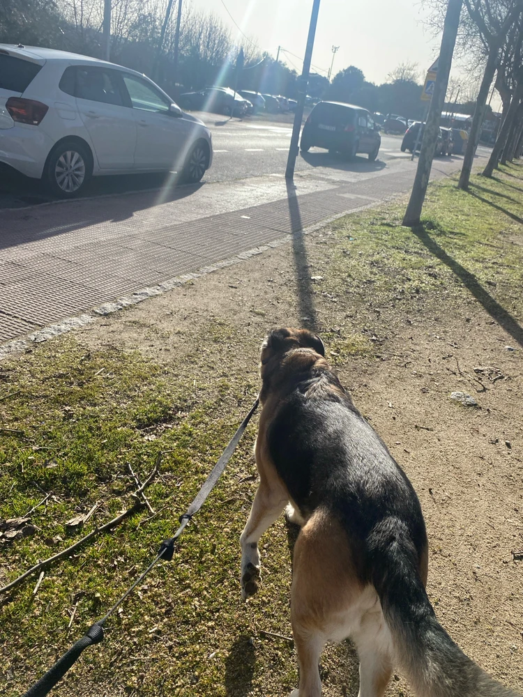 GIF subido por Maria Fernanda