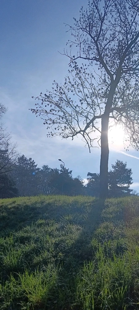 Image ajoutée par Saffiya