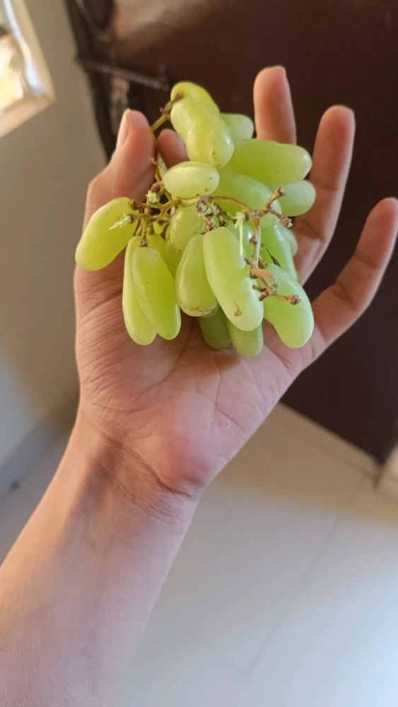 GIF uploaded by Shantanu