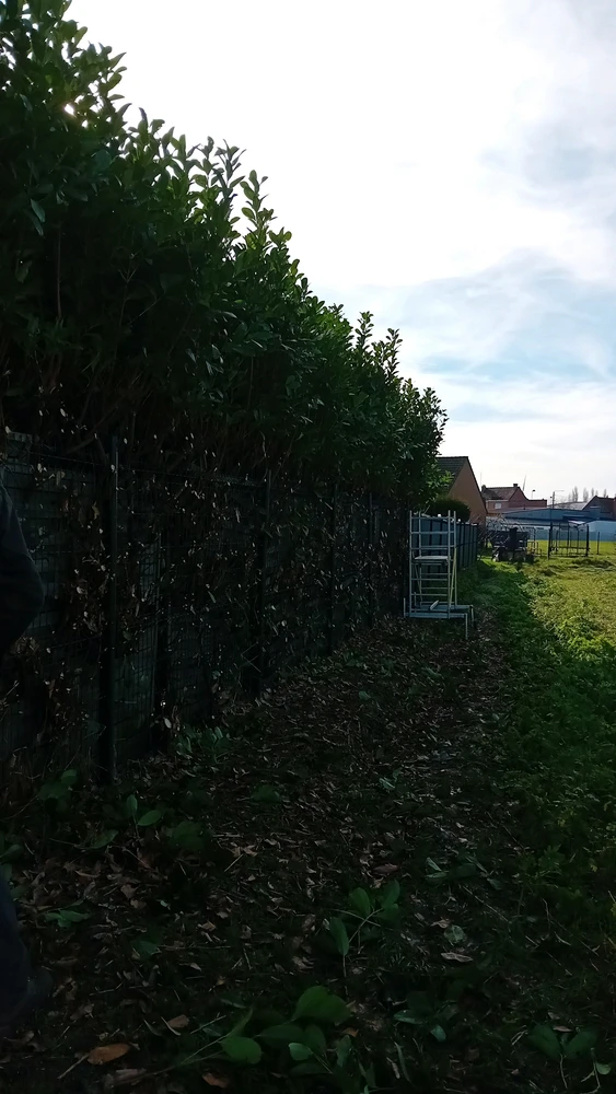 GIF ajouté par Marie