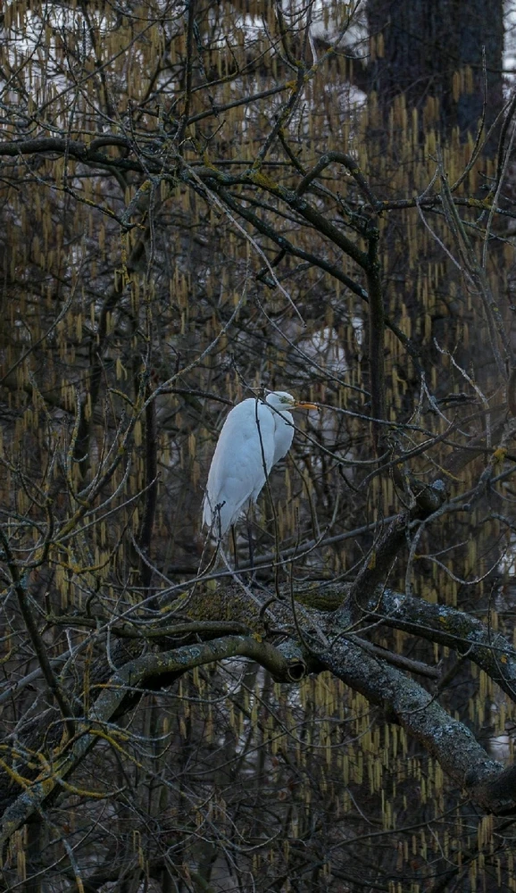 Bild hochgeladen von Max