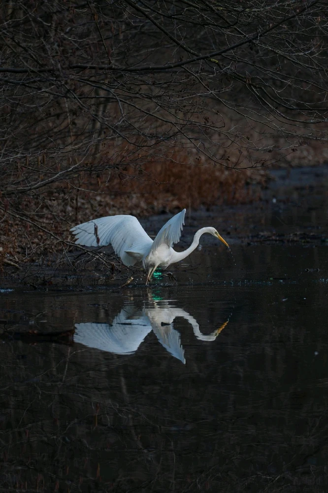 Bild hochgeladen von Max