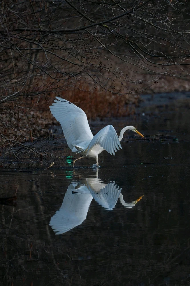 Bild hochgeladen von Max