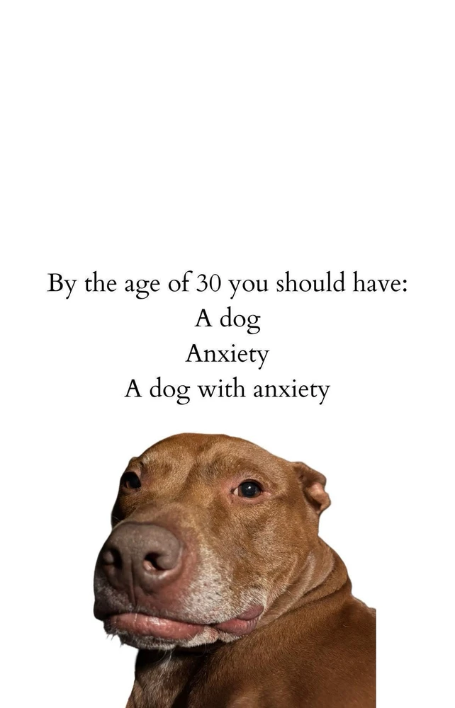 Image uploaded by Daniel