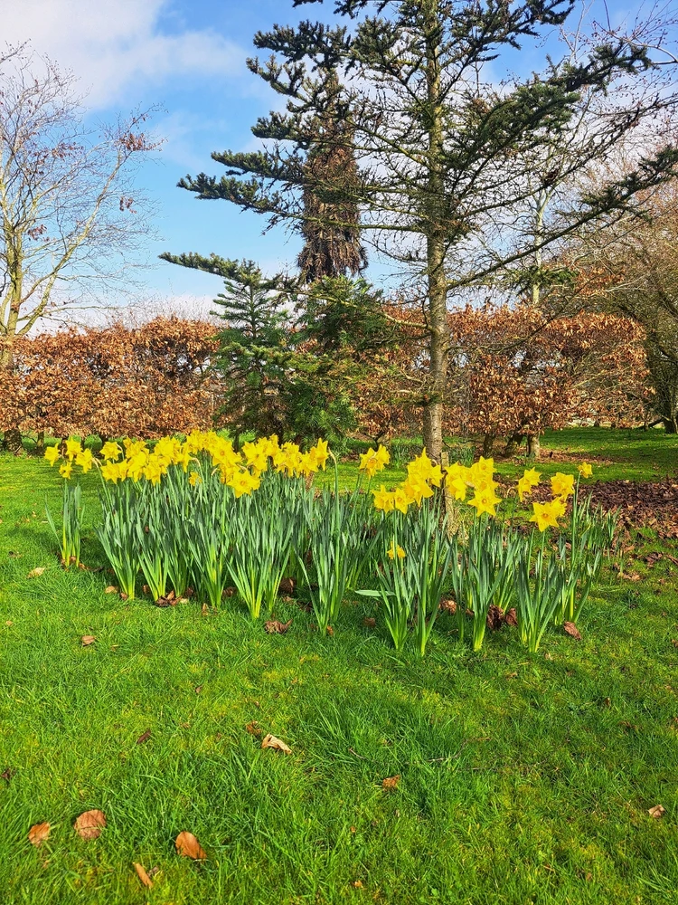 Image uploaded by JD