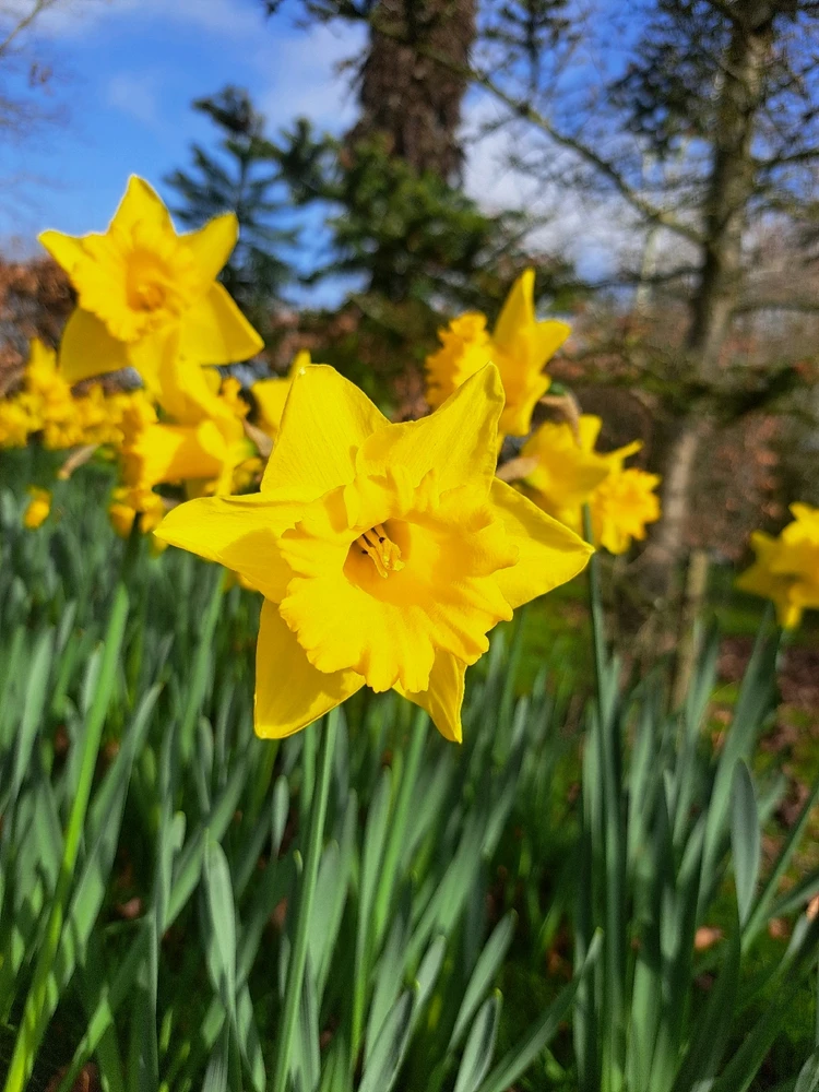 Image uploaded by JD