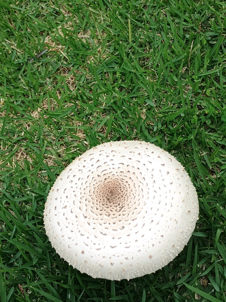 GIF enviado por Tatiana