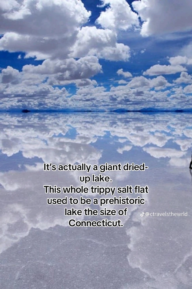 Image ajoutée par Olivier