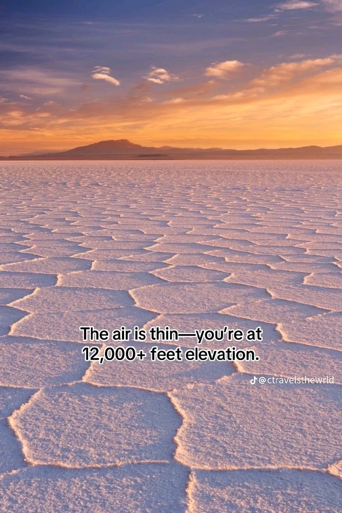 Image ajoutée par Olivier