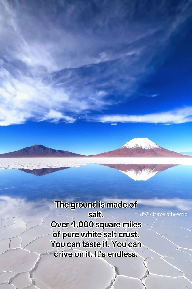 Image ajoutée par Olivier