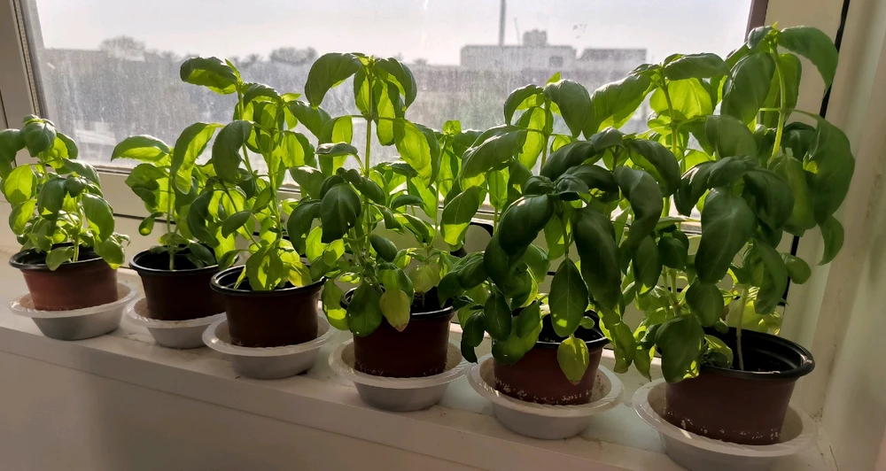 Image uploaded by HopelessRomantic