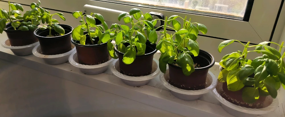 Image uploaded by HopelessRomantic