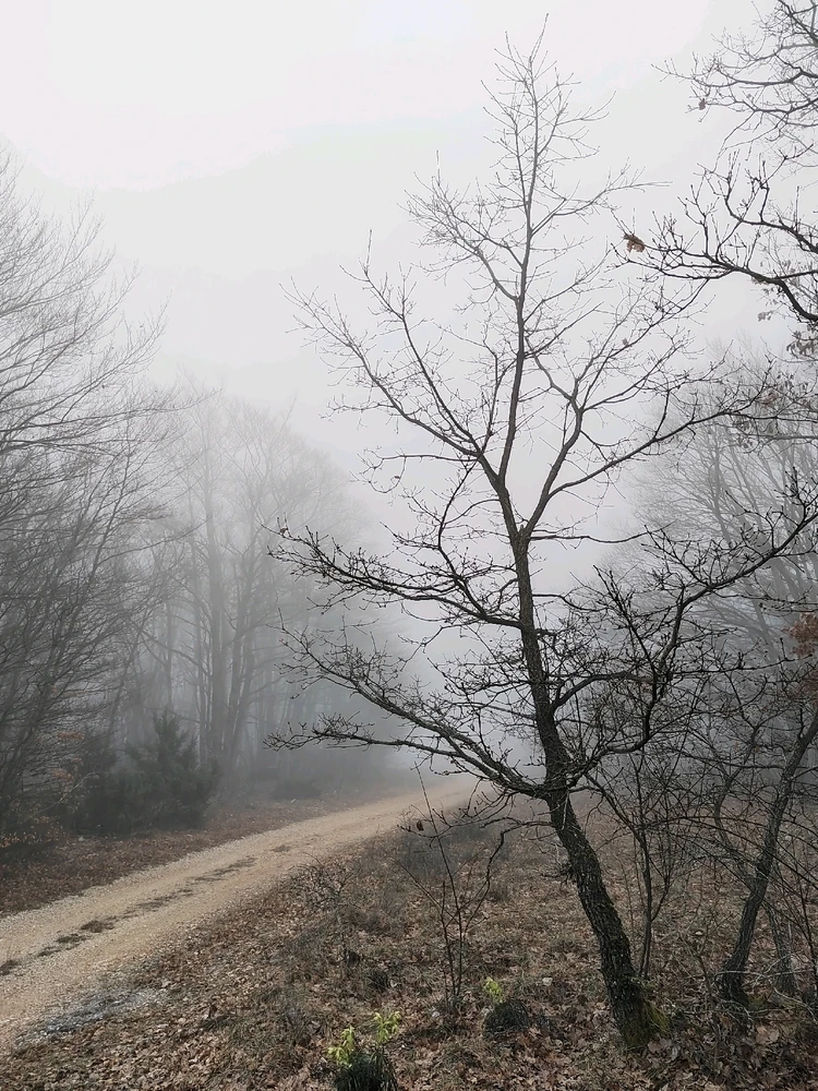 GIF ajouté par Melvin