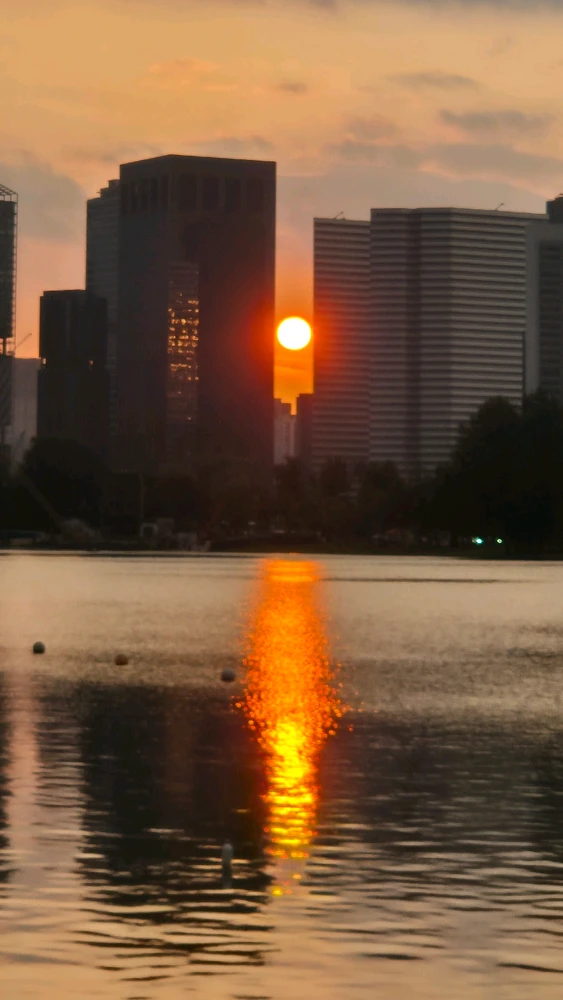 GIF uploaded by Sachrit