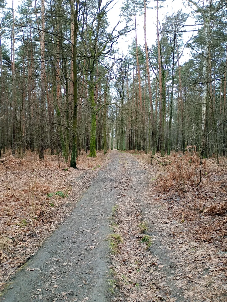 GIF dodany przez Bob