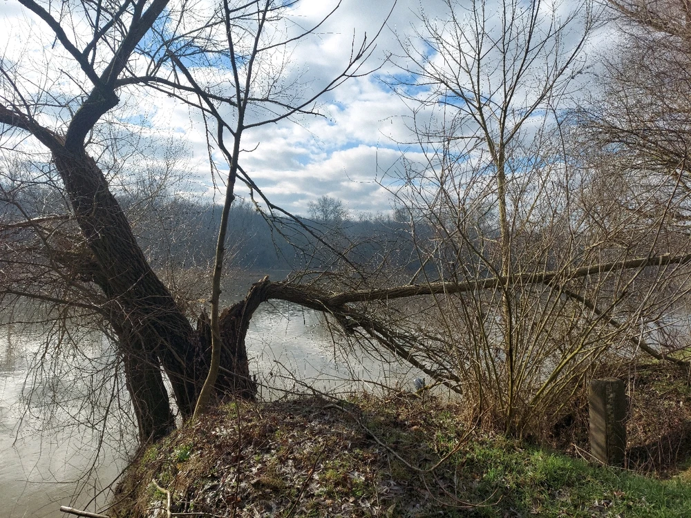 GIF uploaded by Carletto Vittorio