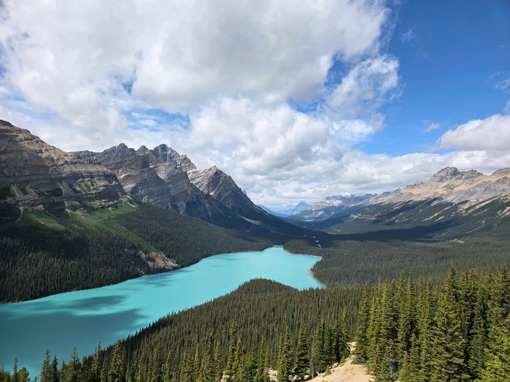 GIF uploaded by Jacob