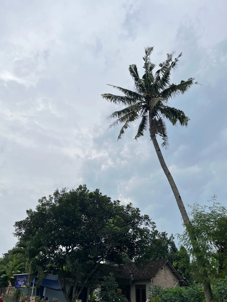 GIF uploaded by Indira