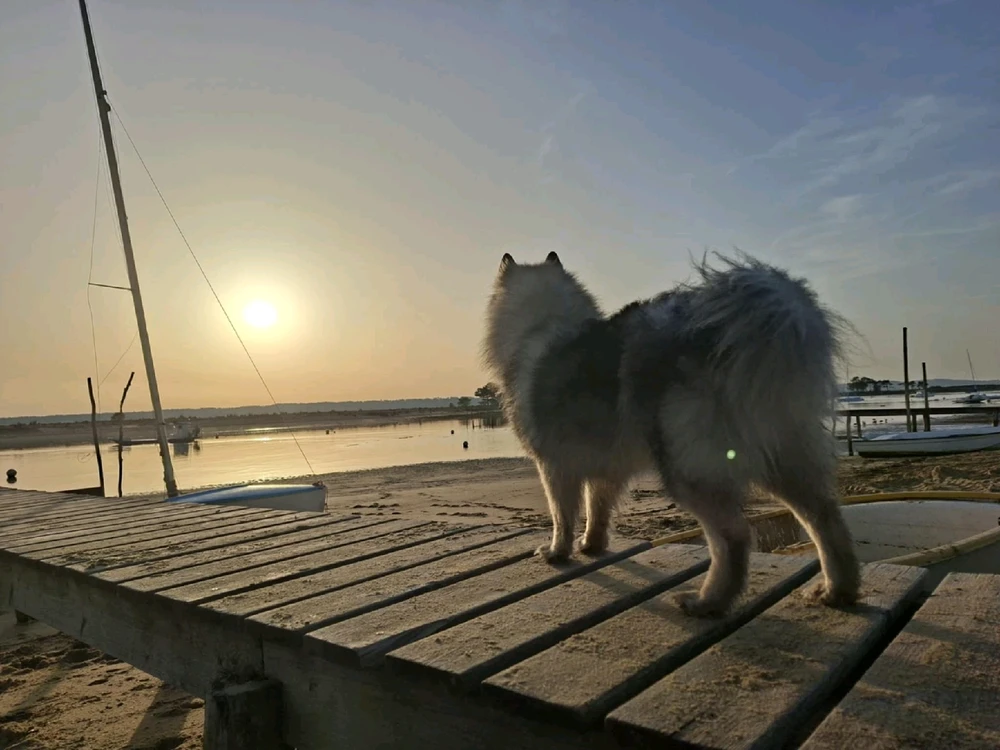 GIF ajouté par Marine