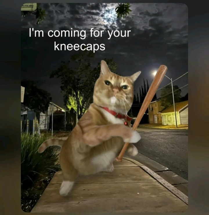 GIF uploaded by Noah